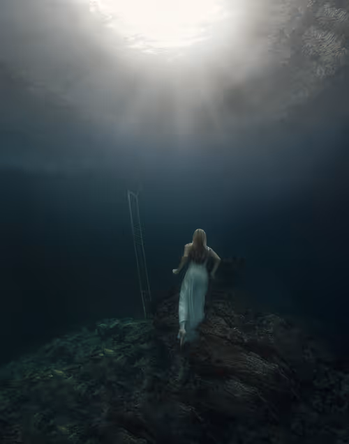 Item #15053791746774206847378132413351543931211387295509872783724080613388971933697 Media