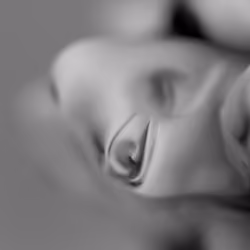 Fluid Series No. 002 "I see you"