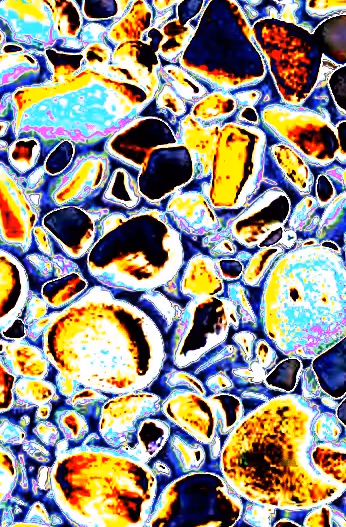 Item #82409959312774079703656942413098690737416735983217004780830441666794550722561 Media