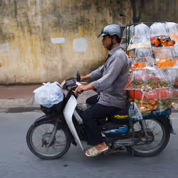 Bikes of Burden #129. Goldfish.