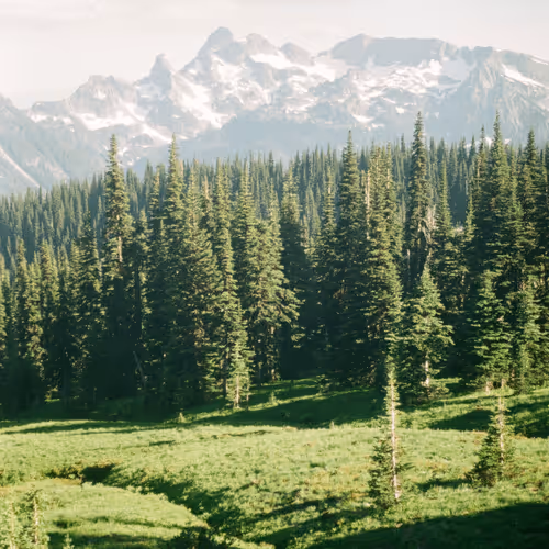 Alpine Summer