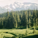 Alpine Summer