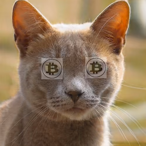 Bit Faced Cat