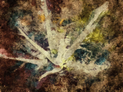 Item #69261177602478584146078213691104273677815526894191982293268528035463256080385 Media