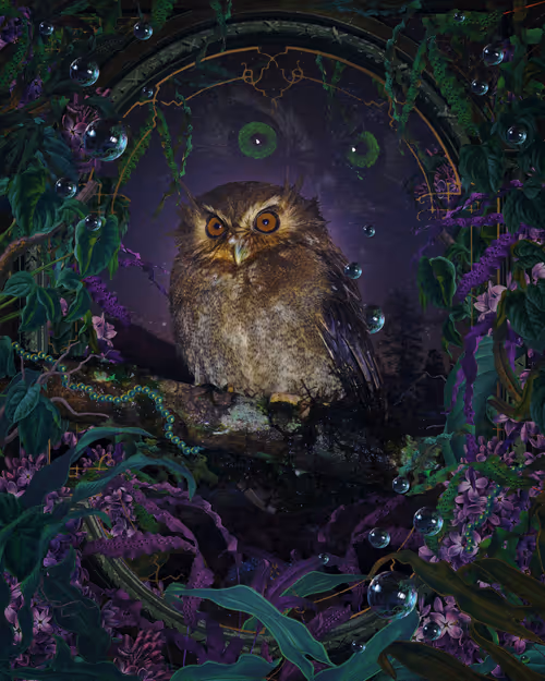 Item #52157283746525259542450048435420026544825586665161748575613848744690398003201 Media