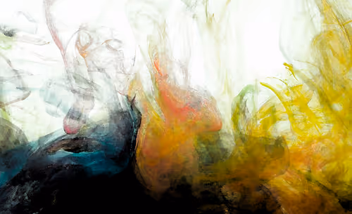 Item #95619151568614802974454947629602672965769746893472874508208249340622215839745 Media