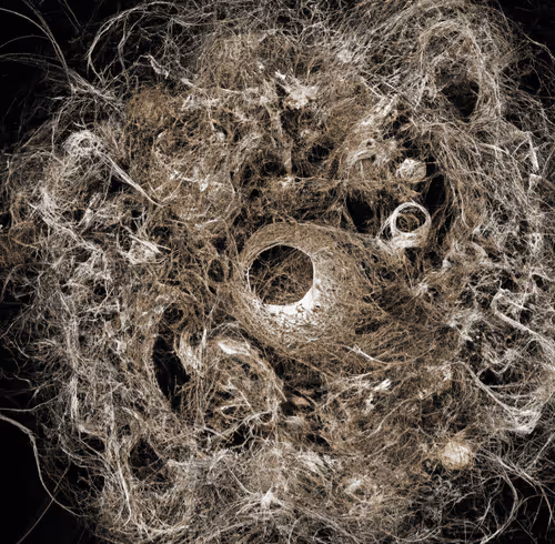 Item #33293457058661275056775848170303775746271351105386188312509916071936288358401 Media