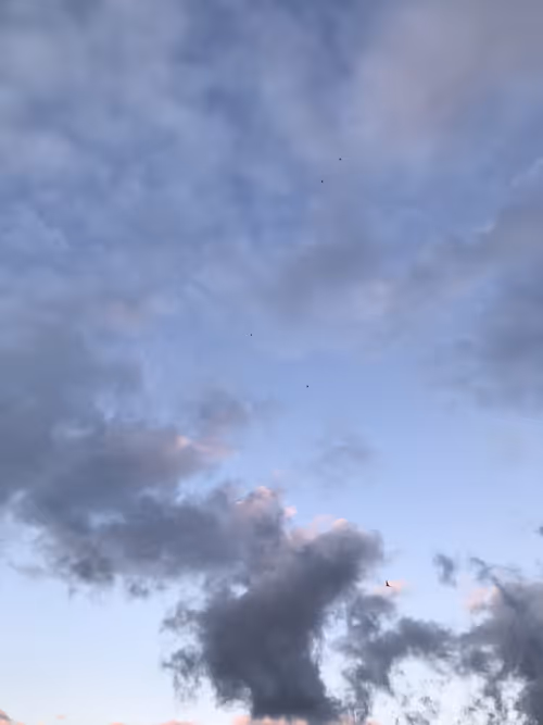 Item #18646559977629649480487143660393314070653216565938883771466586822550640132097 Media