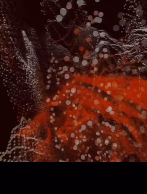 Item #73451015683765452136200600720688698280899458063652615777088935804204876824577 Media