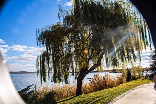 Item #107978139147131831661941634405889412338959910345453465515168770627320581980161 Media