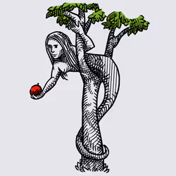 57319268697671272436603797110060872632708398562227121989192562683279235350529