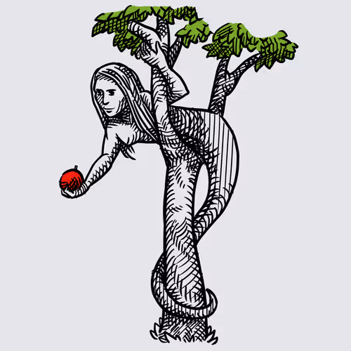 Item #57319268697671272436603797110060872632708398562227121989192562683279235350529 Media