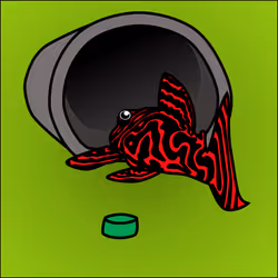 81664083123670143983968740139941474364733981378414170565535211043045995708417