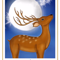 Deer