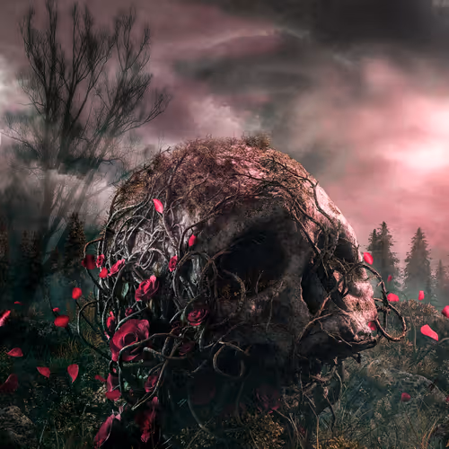 76769299814797304194673961022009784113676480469272095021645618330788578721793