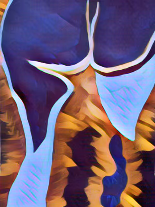 Item #68266961498798237250982388878233973565171637923511209936358774134335705448449 Media