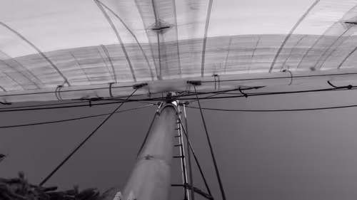 Item #34110083671509346653453586160941404072216291014688644284046702258140791963649 Media