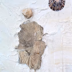 312640636986488383809967770133735614137631931927761305121196829397043118081