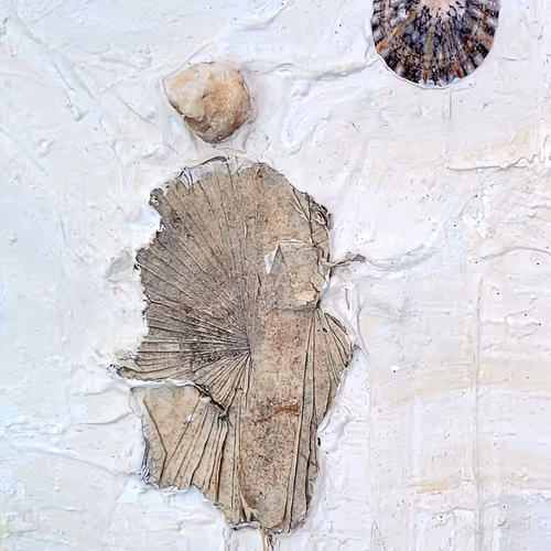 312640636986488383809967770133735614137631931927761305121196829397043118081