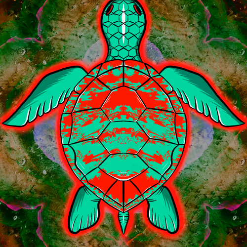 Trippy Shells