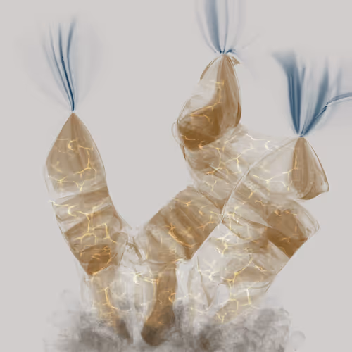 Item #43913605998179715473547498006402033538111059070665374435694579768167283818497 Media