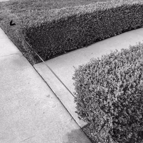 Item #56431751608181922231259635946092067407977788553703326303680802294258059968513 Media