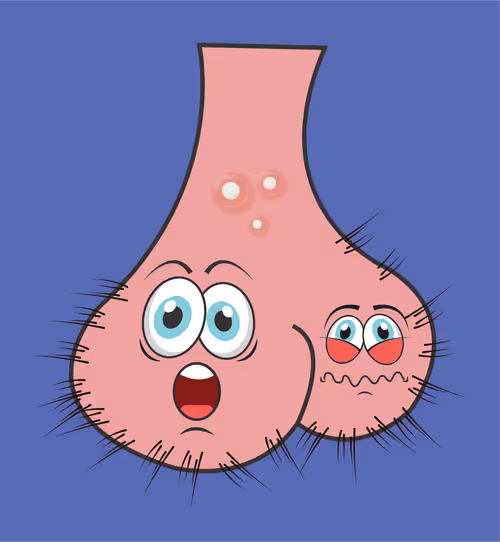 Item #22793047471806318065020766672709763262679883798276267629942526657408968687617 Media