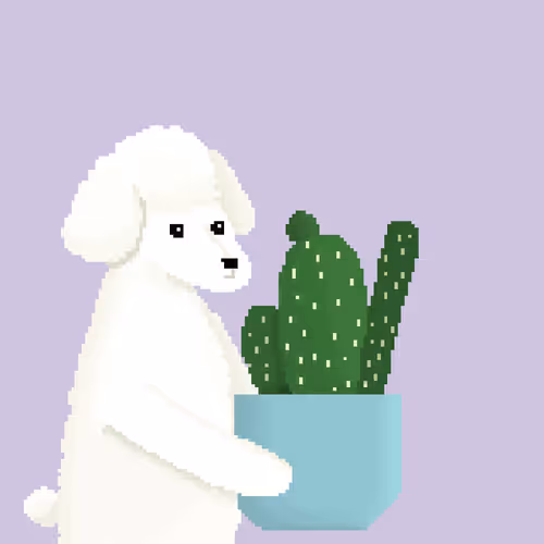 HortiDogsNFT Collection - old