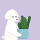 HortiDogsNFT Collection - old