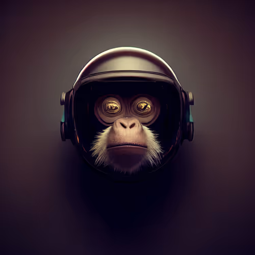 Item #61113754682338237329218241278723179285624197842437990369907456666430286594049 Media