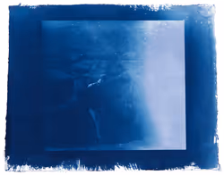 Justin Aversano - Twin Flames - Cyanotype Collection