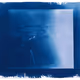 Justin Aversano - Twin Flames - Cyanotype Collection