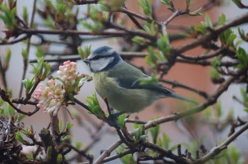 Item #14113791335687528049524506811384605239875640651691872103810466404313086296065 Media