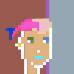 Crypto Punk Solarized