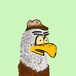 Eagle #11
