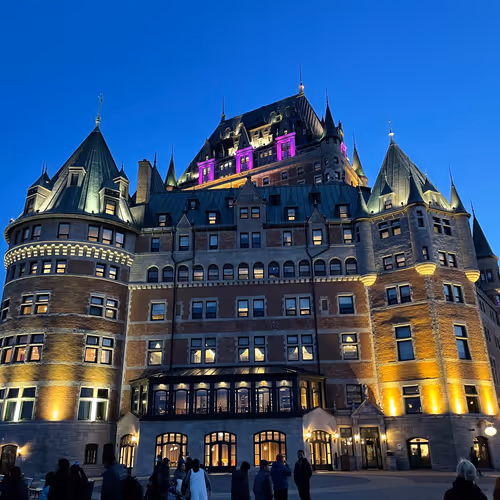 Untitled Collection #93346543