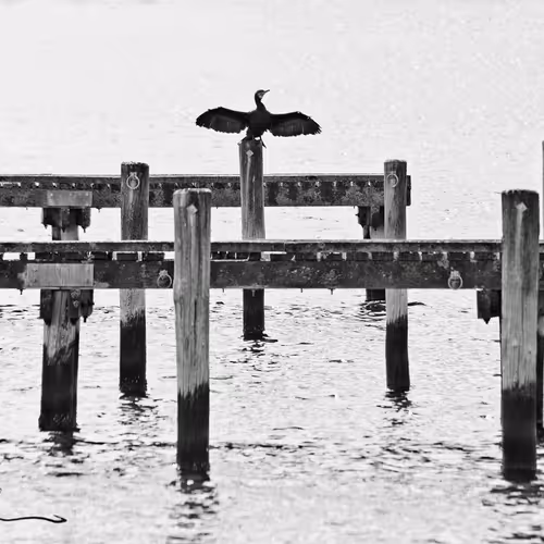 Coastlifephotography