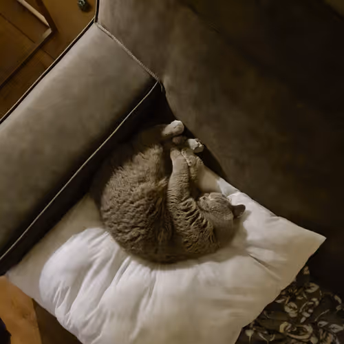 50378249515192140596651097190490243462828899571090436609561503718287331033089