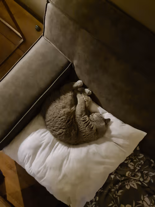 Item #50378249515192140596651097190490243462828899571090436609561503718287331033089 Media