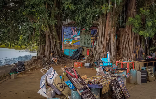 Item #29453746208082885925213446862187229442934735684747336337360990398624691126273 Media