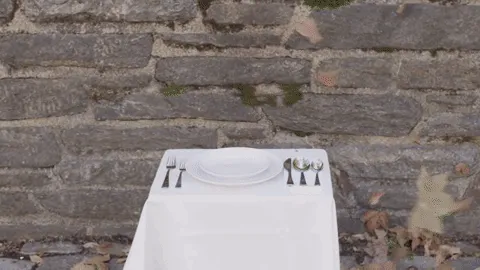 Item #51594047570200237110062565201675736352864679624387104072234140311995635728385 Media