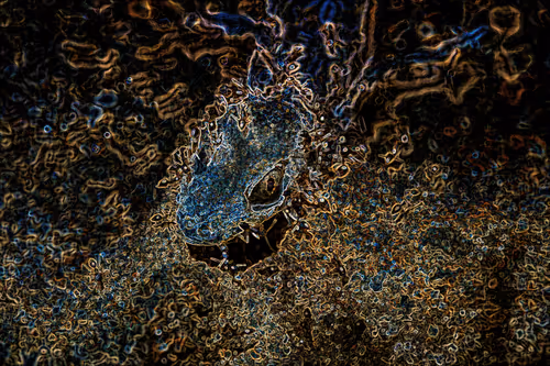 Item #112357457195153001497773786489249045252427376720708510106941895587023634300929 Media