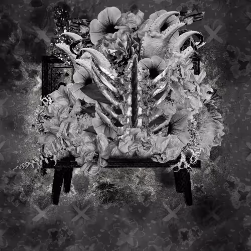 Item #48492224125278853539213911528912924610870321163069310956764398814517620899841 Media