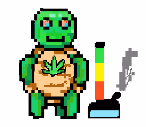 TokinTurtles