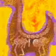 81546513712736330840563501369713125894783177878525456735709969365628272771073