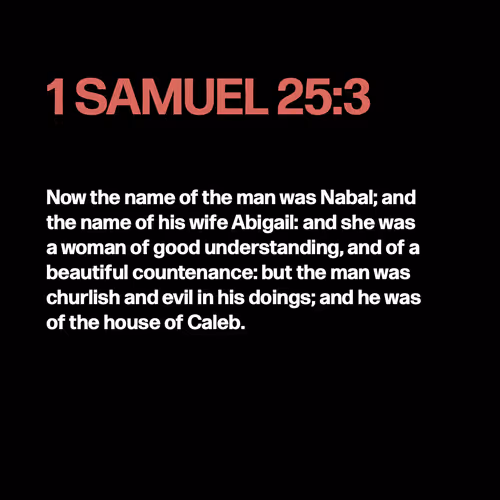Item #22053356606985035317572807567829034573317121579682343289603642009198276902913 Media