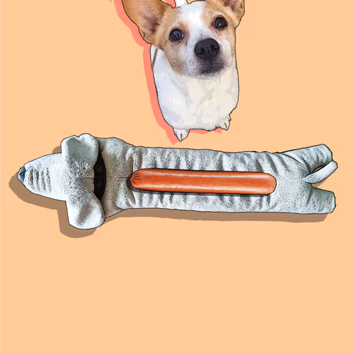 Item #348428351587982516725566990645131636737637974081261290221790548887221567489 Media