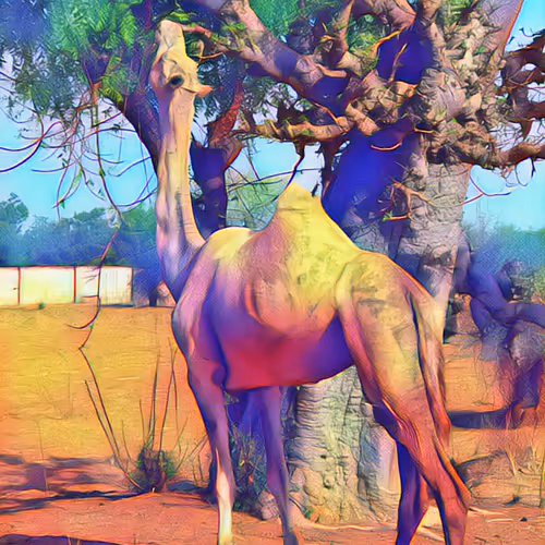 The camel