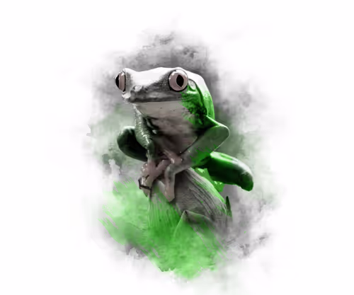 Item #59088353916634911645199901135540098457890710800918991321684793775593789325343 Media