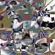 13659620158704081292438172830873331361081106407791668636819396496304115810305